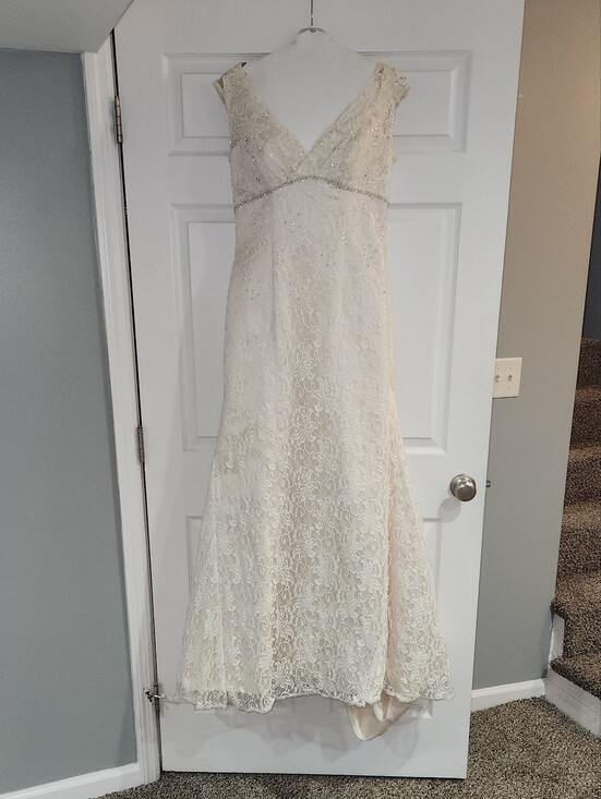 David's Bridal Dresses & Skirts - David’s Bridal Cap Sleeve Lace Wedding Dress Ivory/Champ. (Size 10)